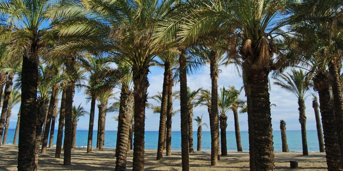 Apartamento Carole Playa Bajondillo Torremolinos Beach - Playa A 30 Segundos - Wifi - Parking - Terraza Appartement Buitenkant foto